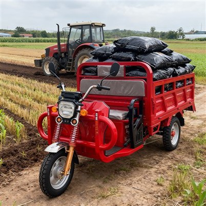 Електричний триколісний велосипед для вантажу